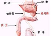 疾病预防