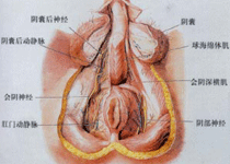 症状特征