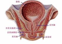 症状和诊断