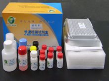 棕榈氯霉素片基本信息