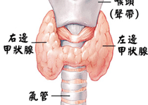 常见疾病