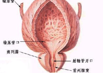 疾病预后