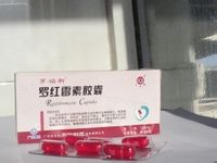 罗红霉素胶囊动力学
