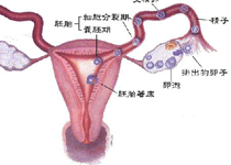 检查时间