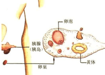 检查方法