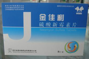 硫酸新霉素片注意事项