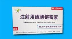注射用硫酸链霉素注意事项