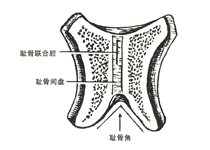 治疗