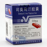 司莫司汀胶囊基本信息