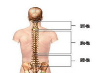 好发群体
