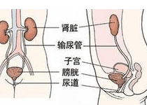 症状