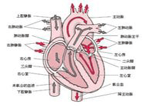 急救措施