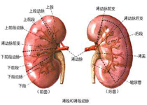 症状