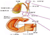 症状分型