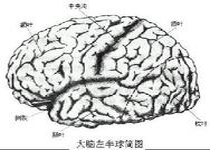 小儿神外癫痫检查