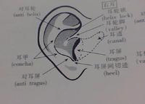 疾病治疗