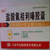 盐酸氟桂利嗪胶囊适应症