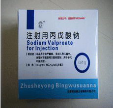注射用丙戊酸钠适应症