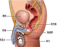 并发症