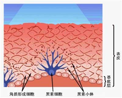 天津白癜风医院：白癜风为什么复发?