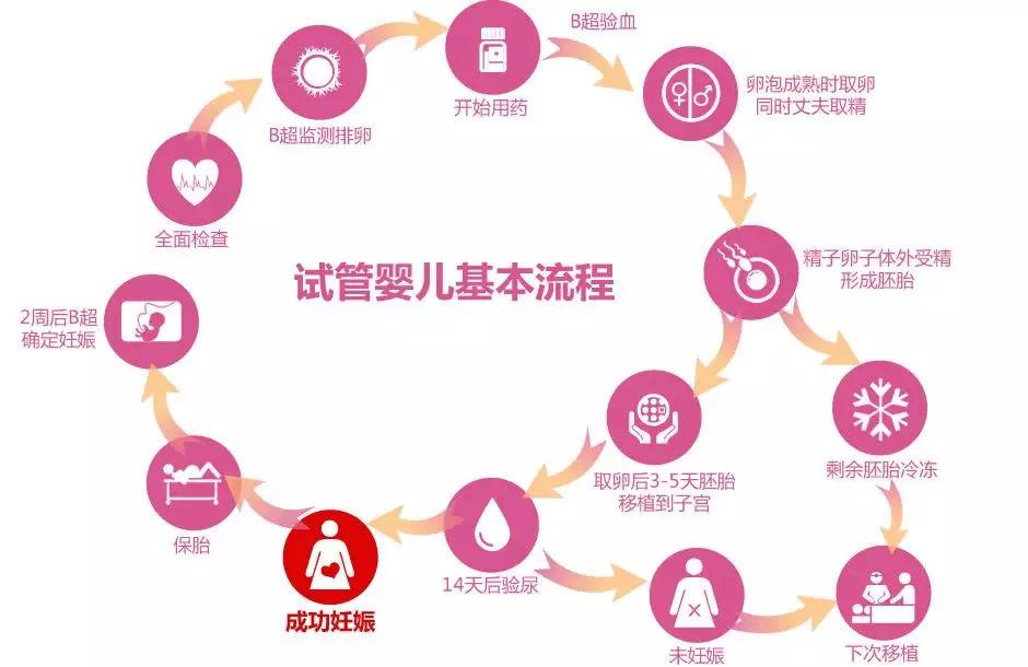 广州正规解决生育问题交给我们_生子攻略