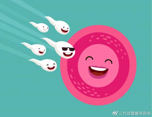 南宁医院试管婴儿的成功率