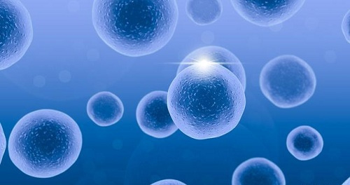 浙江哪里有试管医院？生孩子费用