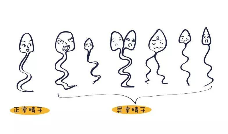 阳痿表现的症状有哪些？