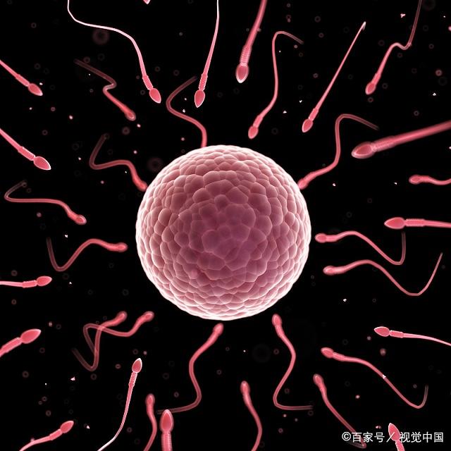 三种有机蔬菜帮你赶走阳痿