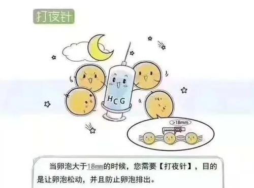 青海做试管婴儿需要多少钱？哪里成功率比较高？