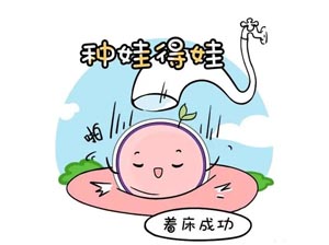 徐州试管助孕机构哪里比较靠谱？成功率高