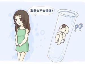 扬州试管助孕机构哪里比较靠谱？成功率高