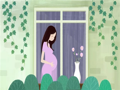 夏季做试管婴儿准妈妈应该少吃什么样的食物？