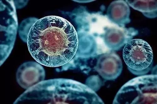 第三代试管婴儿降调怎么样算成功？